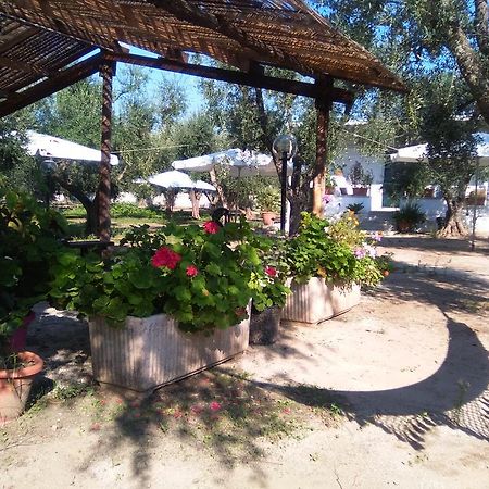 Casa Vacanza Fiorella Torre dell'Orso Εξωτερικό φωτογραφία