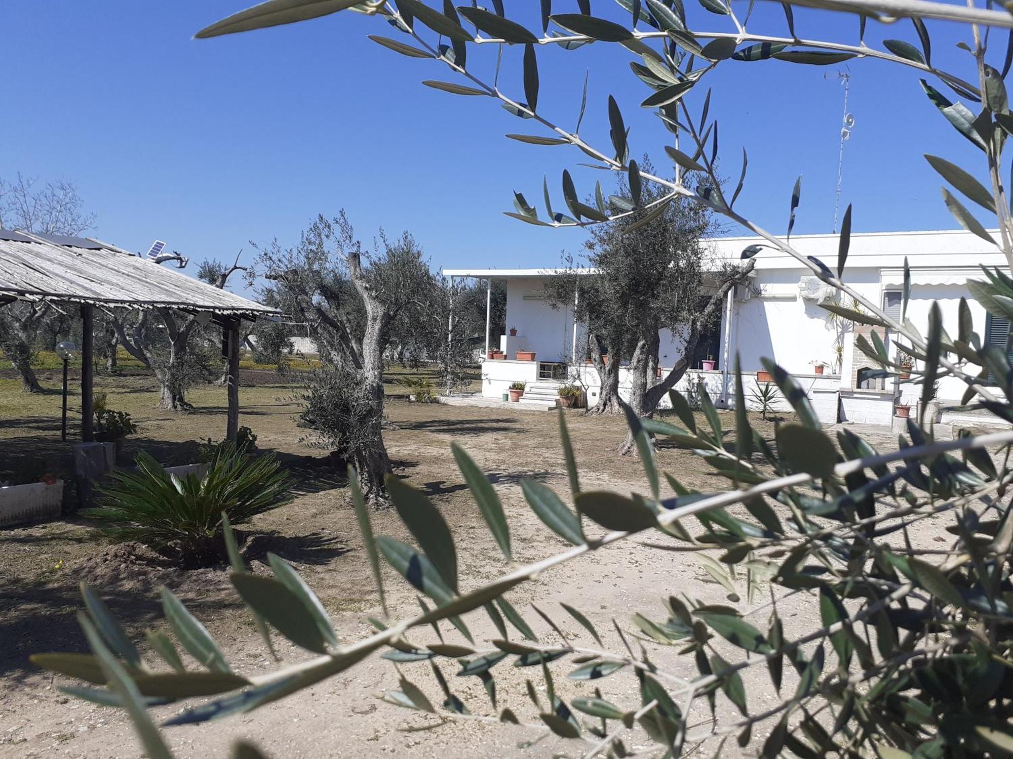 Casa Vacanza Fiorella Torre dell'Orso Δωμάτιο φωτογραφία