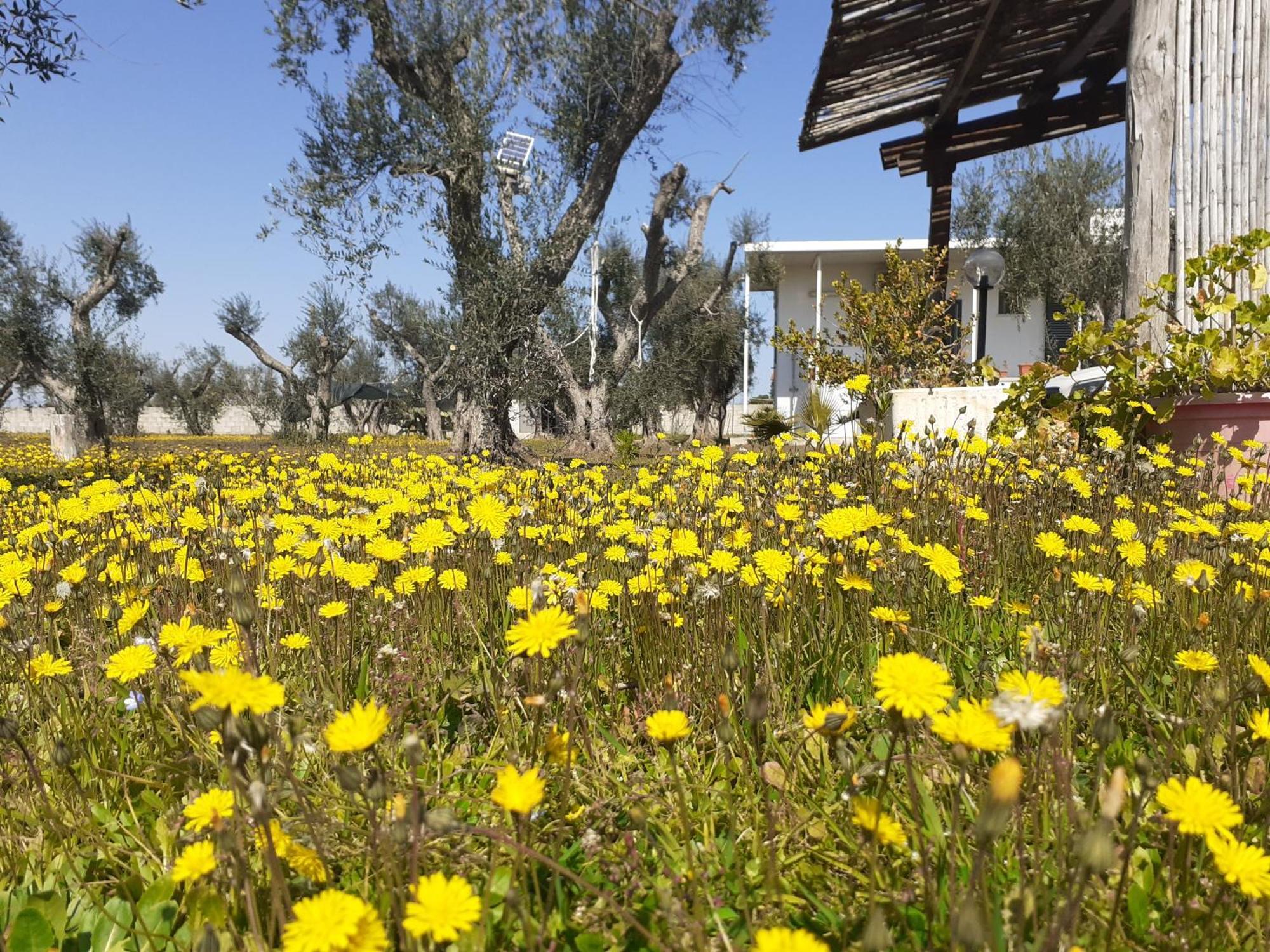 Casa Vacanza Fiorella Torre dell'Orso Δωμάτιο φωτογραφία