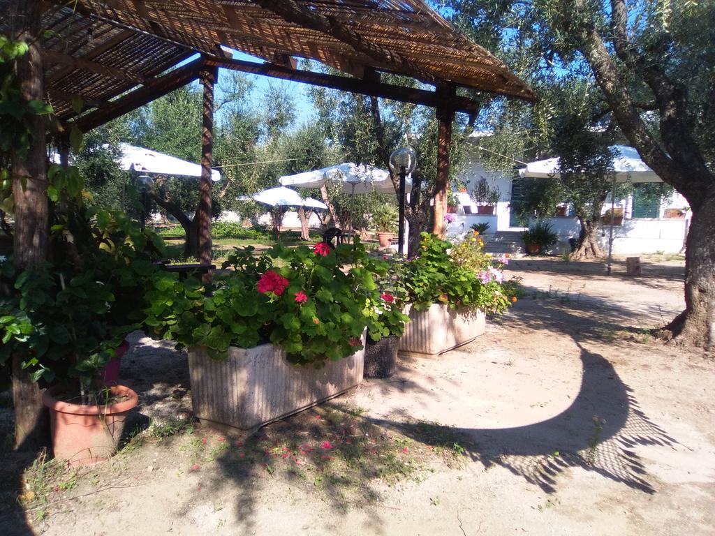 Casa Vacanza Fiorella Torre dell'Orso Εξωτερικό φωτογραφία