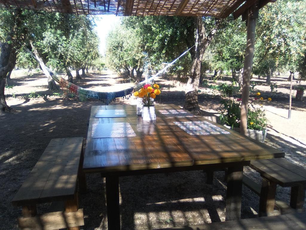 Casa Vacanza Fiorella Torre dell'Orso Εξωτερικό φωτογραφία