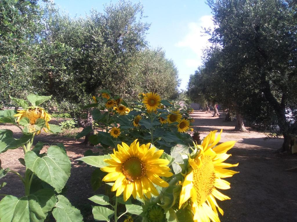 Casa Vacanza Fiorella Torre dell'Orso Εξωτερικό φωτογραφία